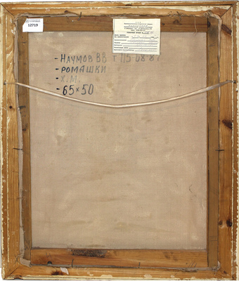 Наумов Виктор Васильевич. Ромашки 